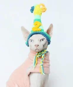 Birthday Hat for Cats – Crochet Number Hat