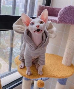 Hoodie for Cat DIY-Hoodie for Sphynx with Mouse Ears
